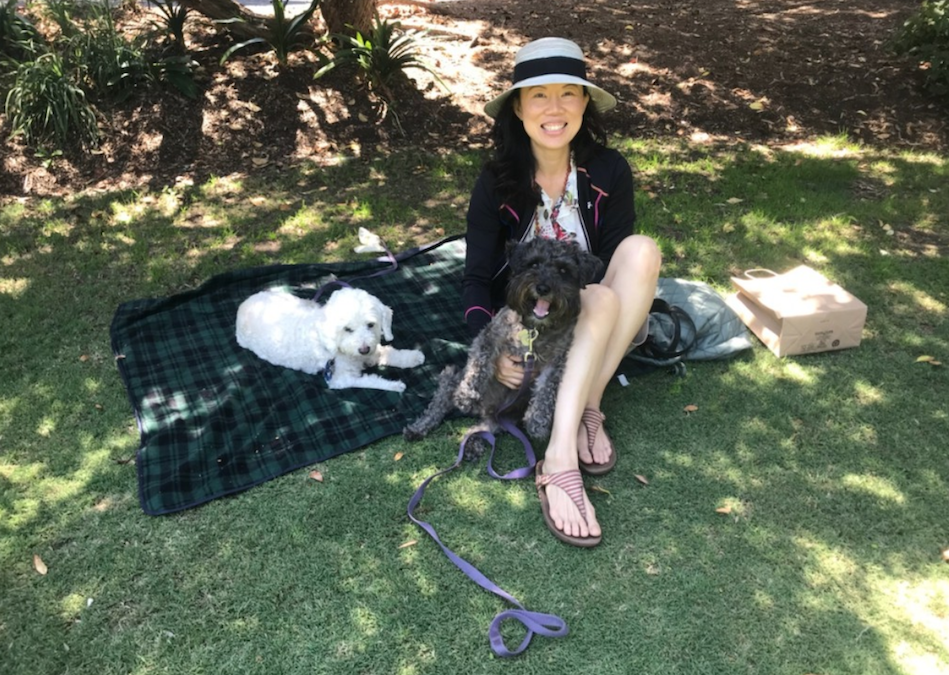 Dog Days of Summer – Beat The Heat